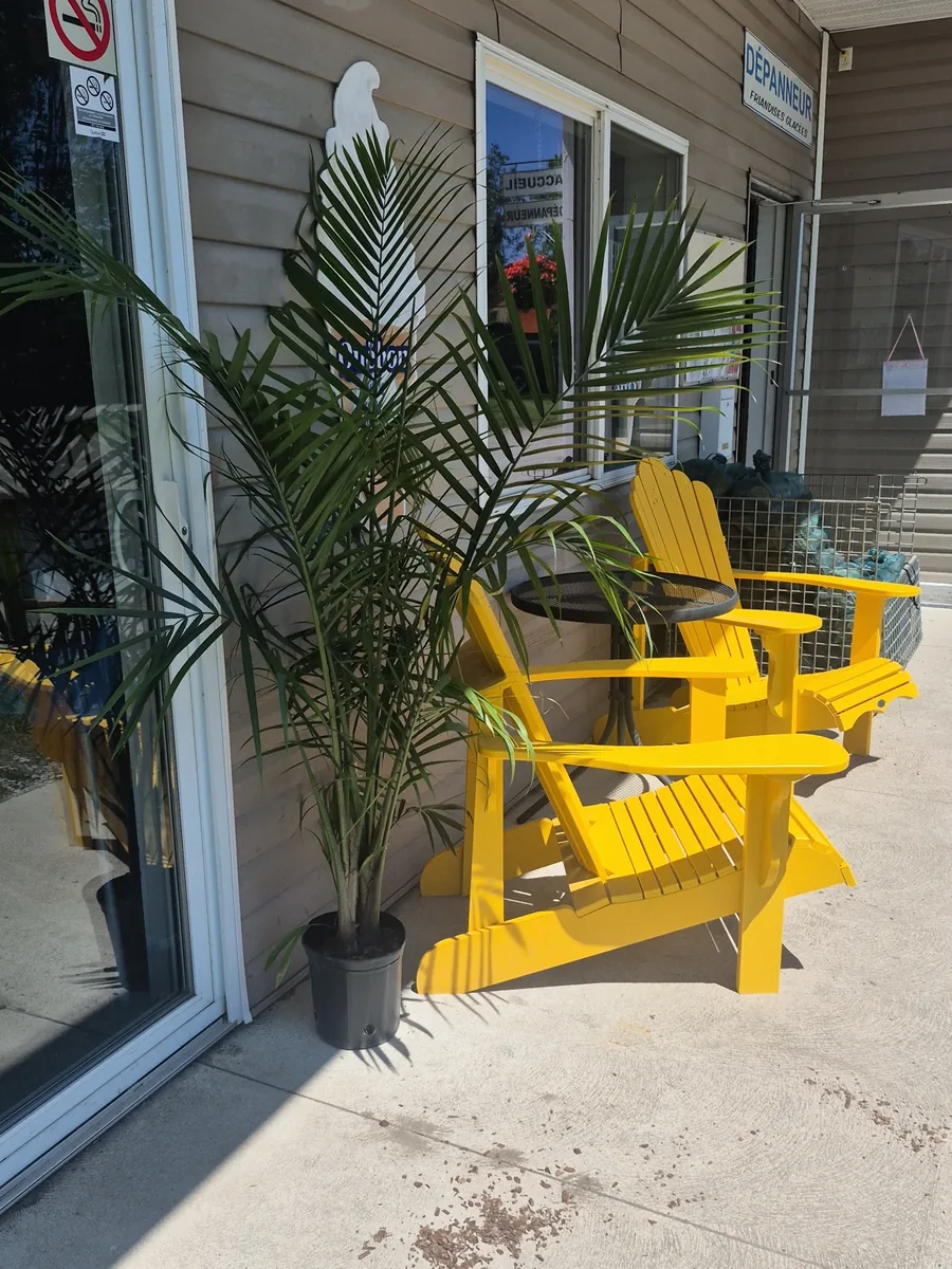 Chaises Adirondack jaunes et plante près d’une entrée du Camping de l’Estrie