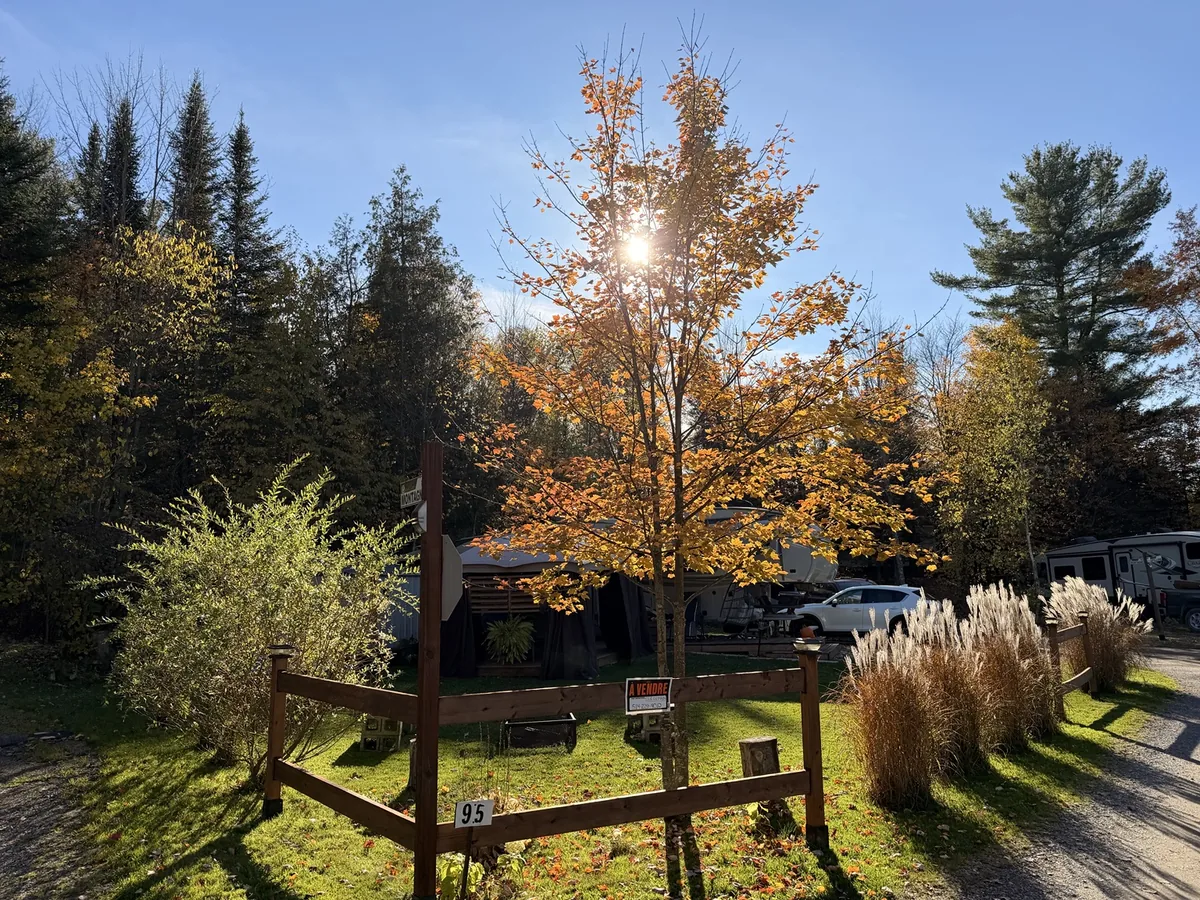 Allée, clôture de bois et arbres aux couleurs d’automne au Camping de l’Estrie