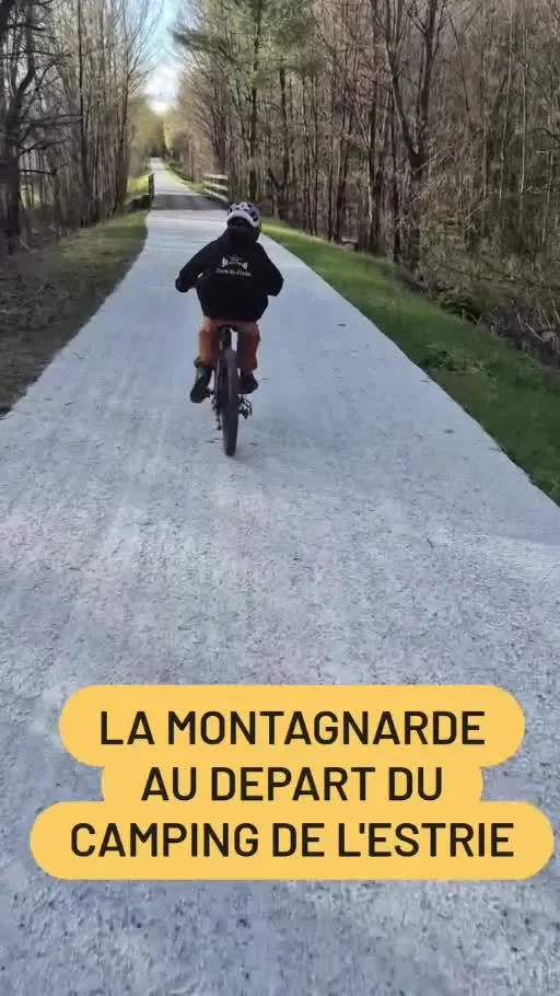 Balade à vélo sur une piste bordée d’arbres